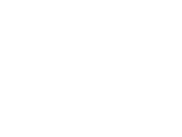 BUDA — Boston Ultimate Disc Alliance