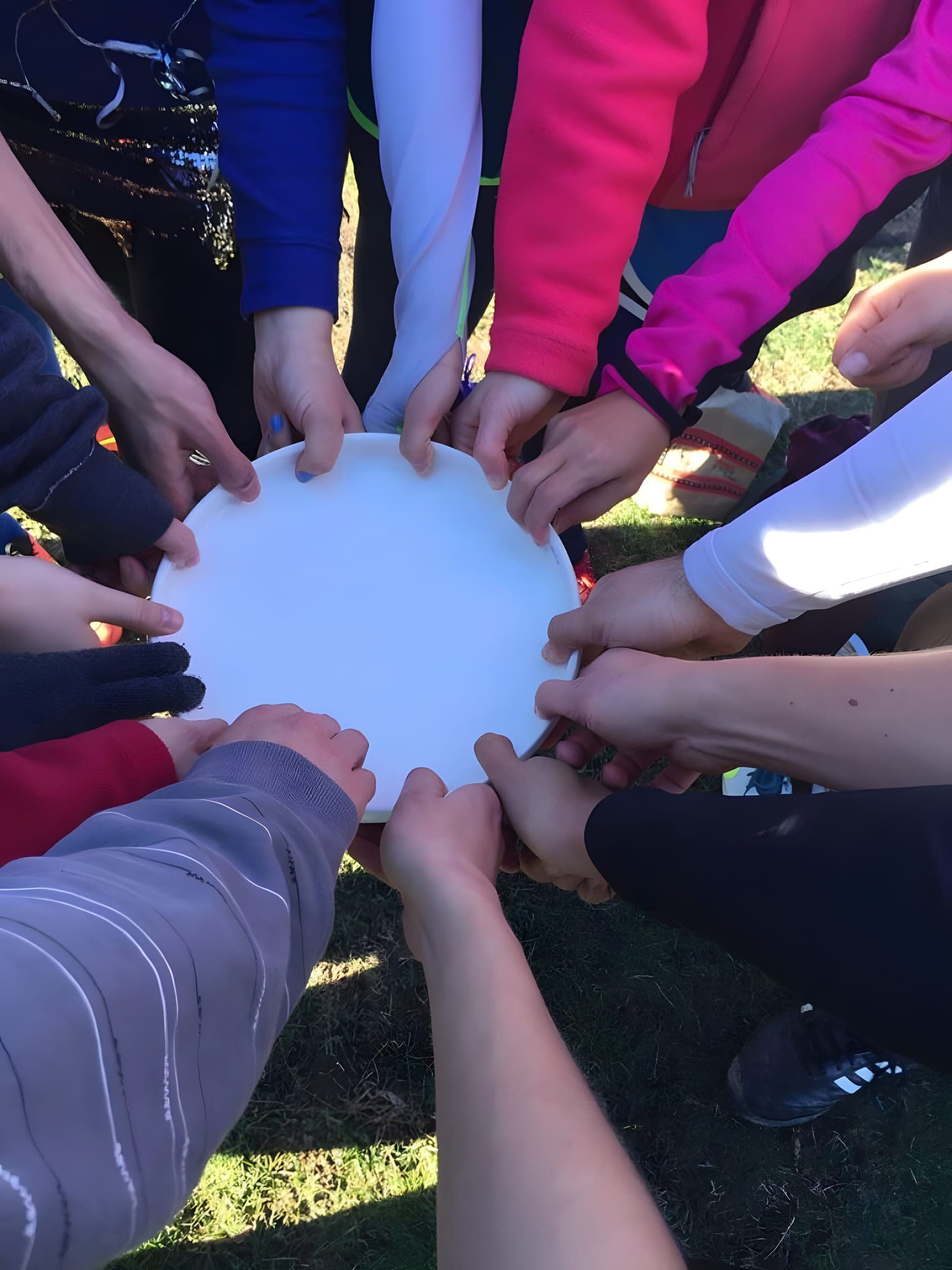 A team huddle seen from above, a dozen hands gripping one disc