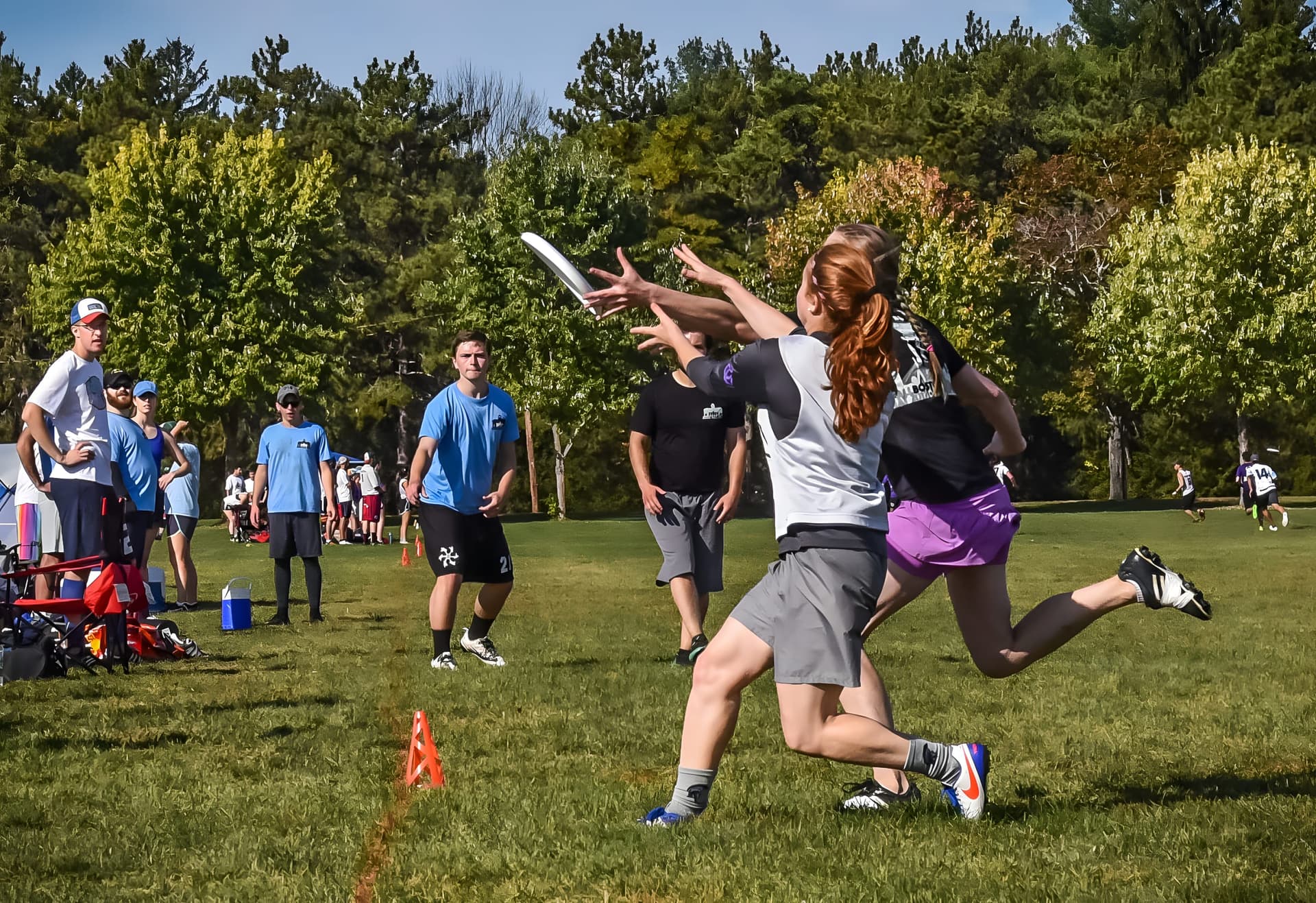 Two hat-league players converge on a floating disc under autumn trees